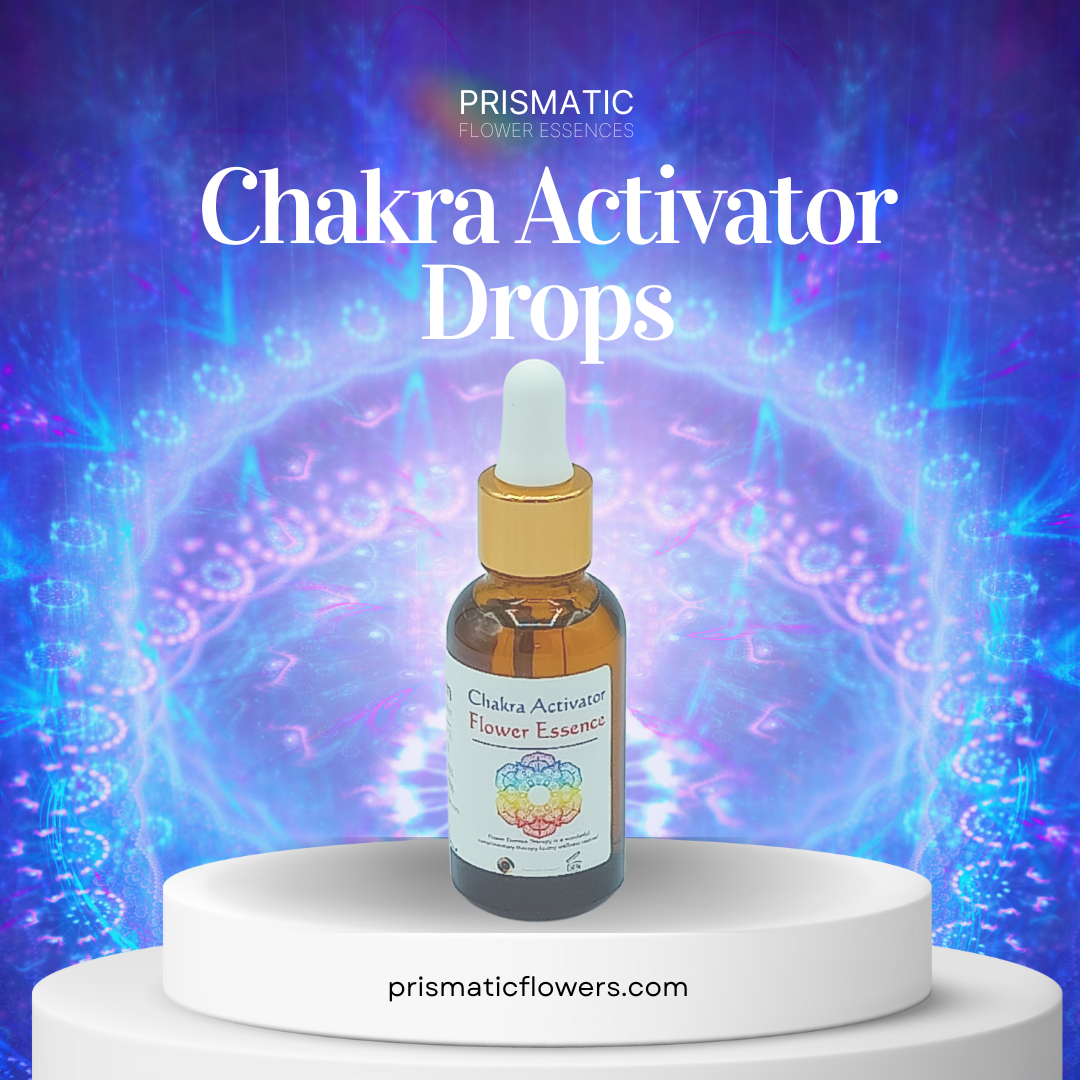 Chakra activator flower essence blend