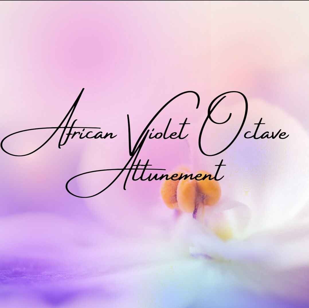 African Violet Octave