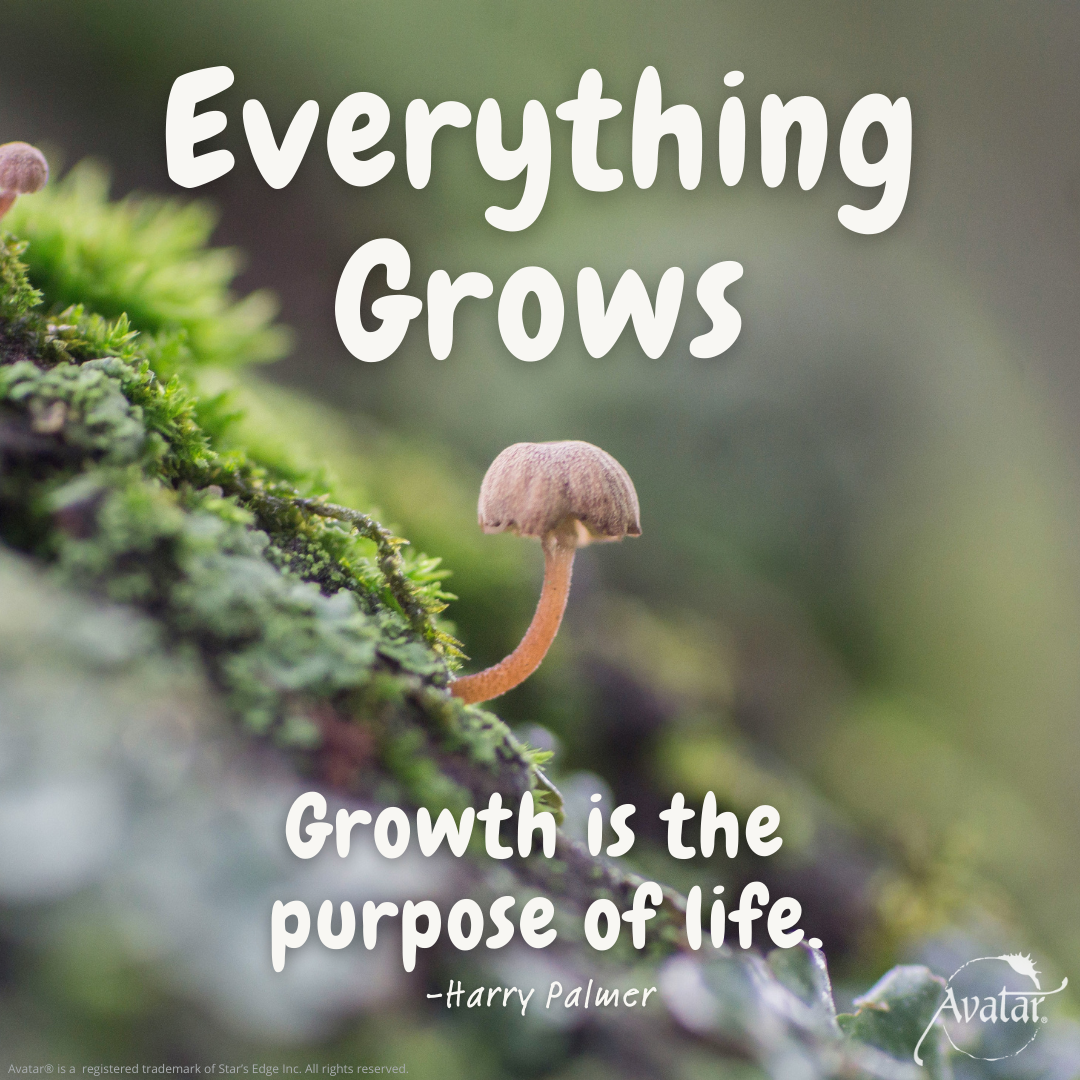 Everything Grows. Growth is the purpose of life - Harry Palmer