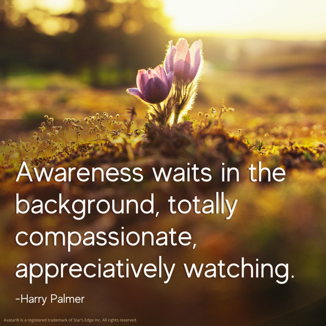 Awareness waits in the background, totally compassionate, appreciatively waiting