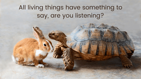 All living things have something to say, are you listening?