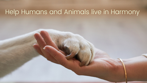 Help Humans and Animals live in Harmony