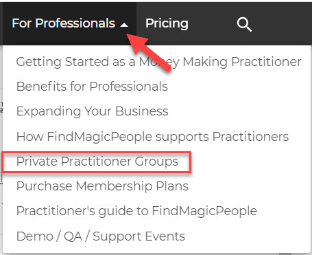 Practitioner Groups and Discussions