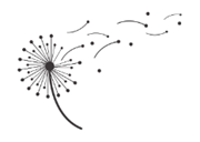 Dandilion