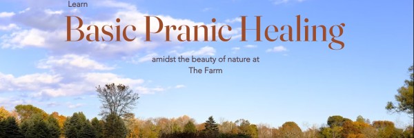 2 day Basic Pranic Healing Training