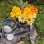 flowers feather candle water stone