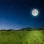 Spring Lunar Meditation - Intuitively Nurturing the Development Phase for This Year