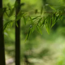 Increase your ability to manage change with this powerful talk and discussion