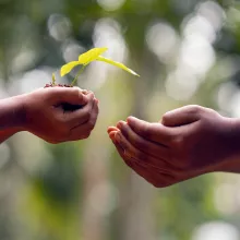 Explore the Avatar Path to Enlightenment, Path 3, the Path to Service