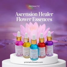 Ascension Healer Flower Essences