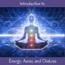 Energy Auras Chakras Nikki intuition