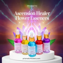 Ascension Healer Flower Essences