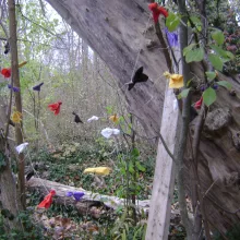 Prayer ties form a part of the natural landscape