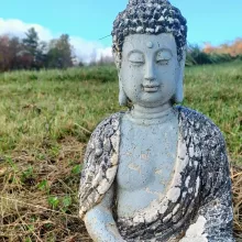 Special Offer! Destress Session for $30