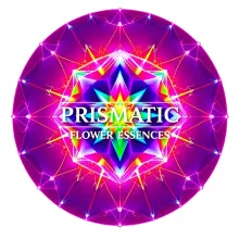 Prismatic Flower Essences by Reverend Michael Allison in the Detroit area. I offer Flower Essence Therapy, Gemmotherapy, Crystal Healing, Aroma Point Reiki, intuitive Healing and more!