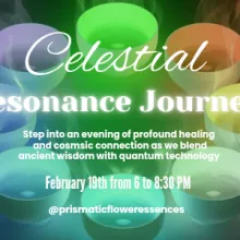 celestial resonance Journey sound bath promo with multicolored singing bowls in the backround