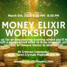 money elixir workshop March 2026 crimson commuter Madison heights michigan