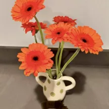 Spring into Pranic Healing 