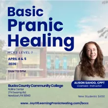 Pranic Healing class