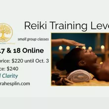 Reiki Level 1 training information