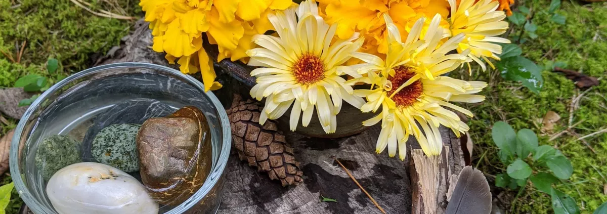 flowers feather candle water stone