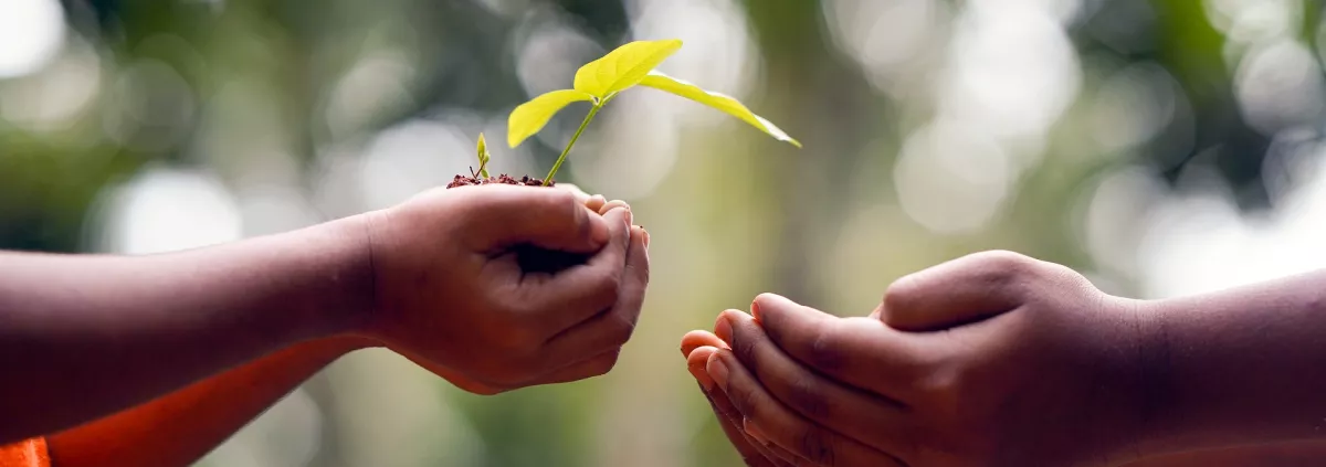 Explore the Avatar Path to Enlightenment, Path 3, the Path to Service