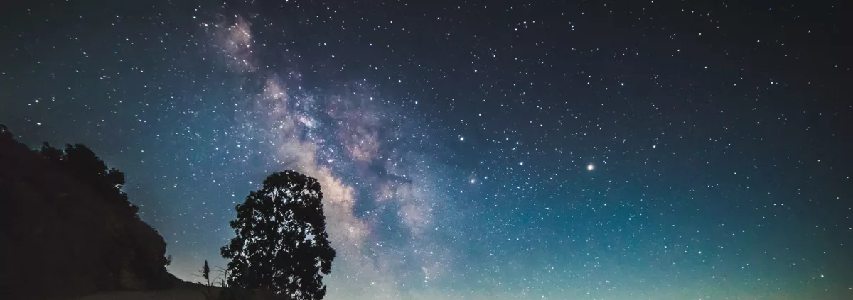 Starry Night Healing Expo in Port Huron