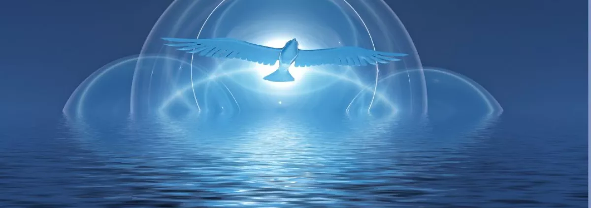 Bird and light over water
