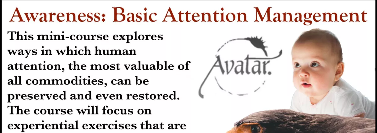 Attention Management with the Avatar Tools