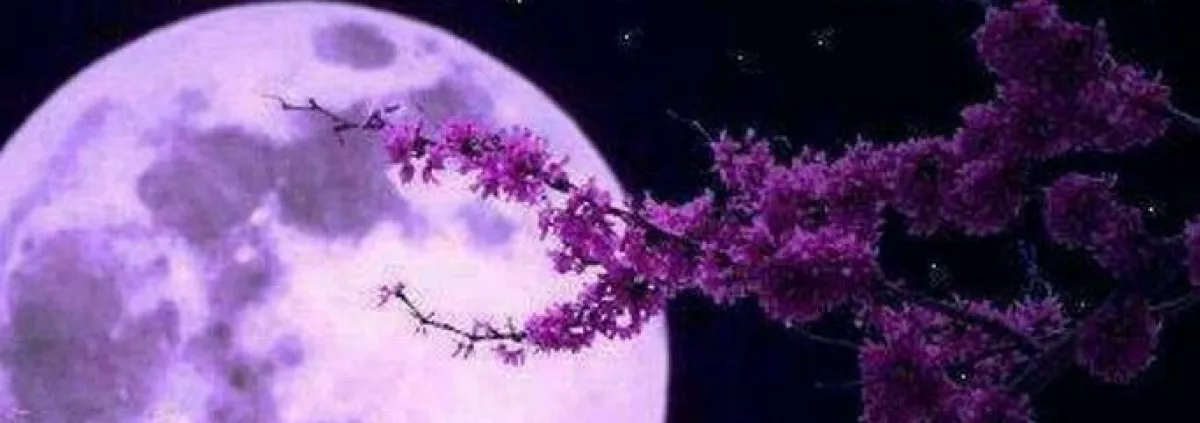 Full Moon Gathering with Sophia Unfolds