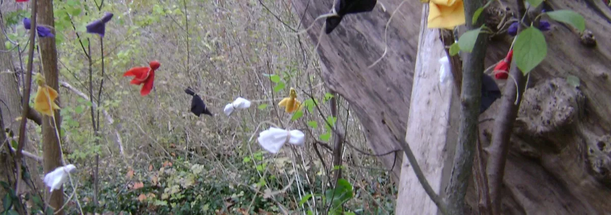 Prayer ties form a part of the natural landscape