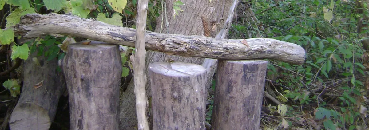 Structure created on the walking path