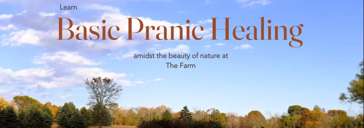 2 day Basic Pranic Healing Training