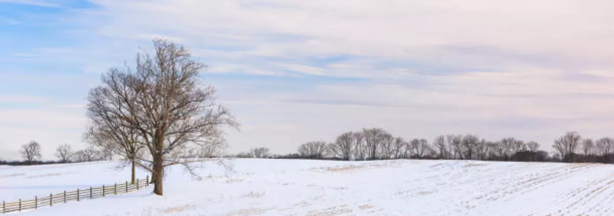 Exploring the Design Phase: How to Practically Work with the Energies of Winter