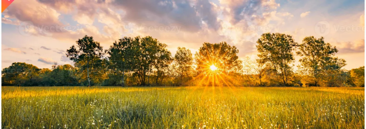 What is Life? An Exploration of What it Means to be Alive, the Links to the Divine, and Inner Truth
